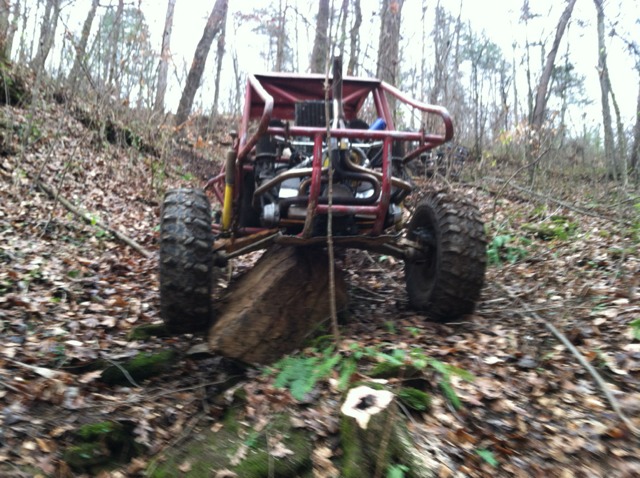 ImageUploadedByWoodsBuggy1387160155.665200.jpg