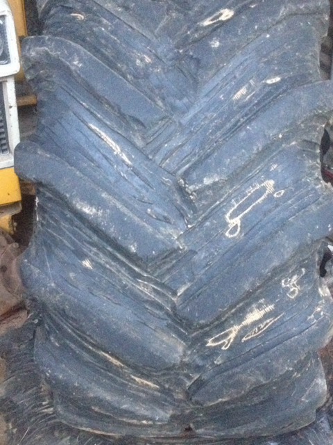 ImageUploadedByWoodsBuggy1389102377.102438.jpg