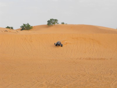 DSCF0211.JPG