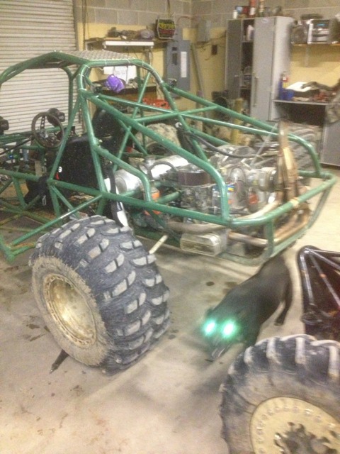ImageUploadedByWoodsBuggy1377688925.905912.jpg