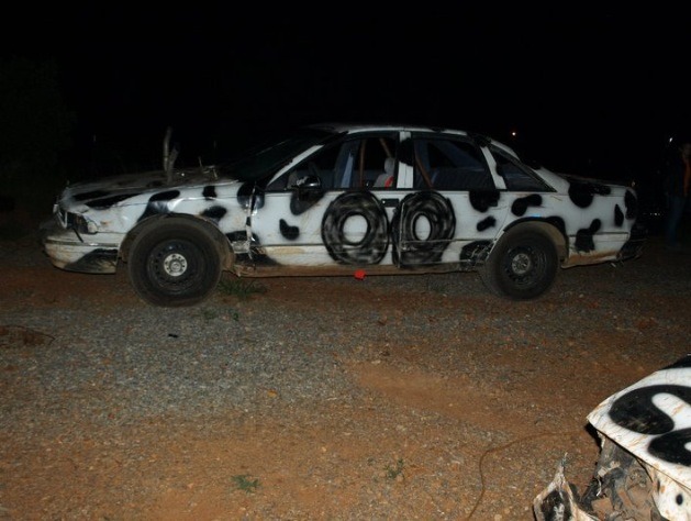 ImageUploadedByWoodsBuggy1380368357.527776.jpg