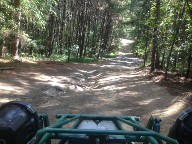 ImageUploadedByWoodsBuggy1380542281.106940.jpg